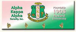 Alpha Kappa Alpha AKA Pink and Green Sorority Key Holder