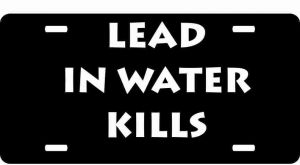Lead in Water Kills License Plate