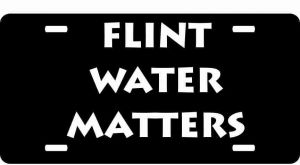 Flint Water Matters License Plate
