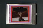 Lil Brown Tulip African American Business Card Credit Card Case
