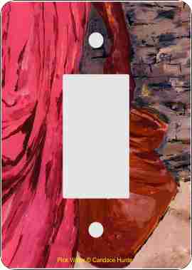 Pink Water African American Rocker Switch Plate